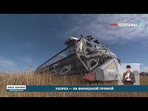 УБОРКА — НА ФИНИШНОЙ ПРЯМОЙ