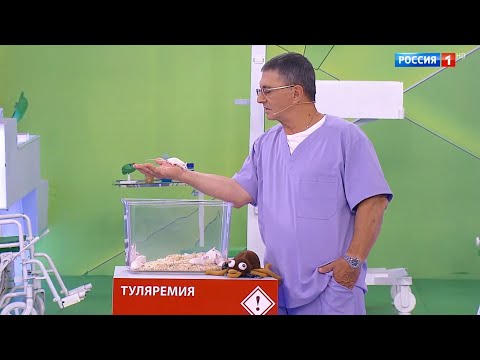 О самом главном. Выпуск от 27.08.2024