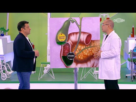 О самом главном. Выпуск от 12.11.2025