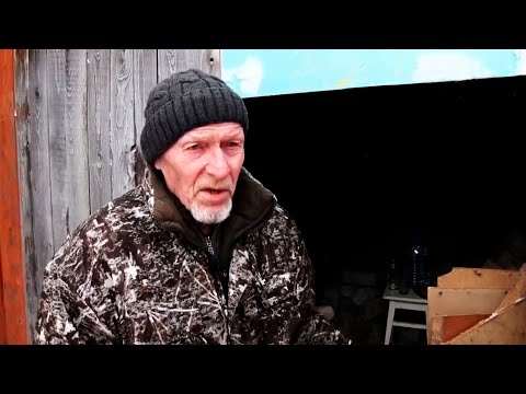Лев на свободе. Мужское / Женское 21.05.2025
