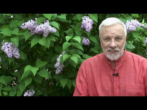 Рязань. Часть 1. Непутевые заметки. Выпуск от 07.07.2024