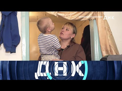ДНК. От 29.05.2025 | Наследники чужой крови? FULL HD