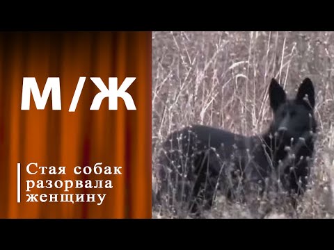 Смертельный маршрут. Мужское / Женское. Выпуск от 25.11.2024