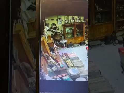 Владельцы магазина старинных вещиц прислали нам запись с камеры наблюдения