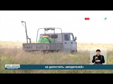 Не допустить «вредителей»
