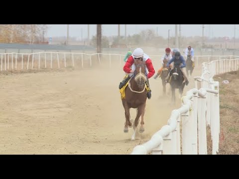 Скаковой сезон закрыли в Костанайской области