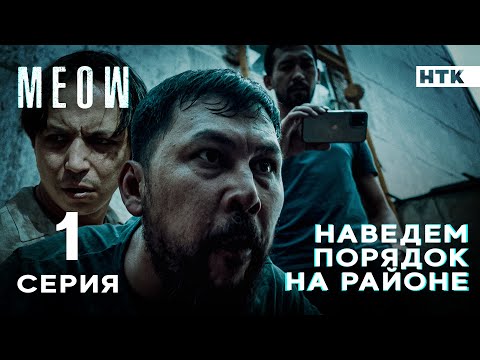 Родной, природа уже не кумарит! | MEOW - 1 серия