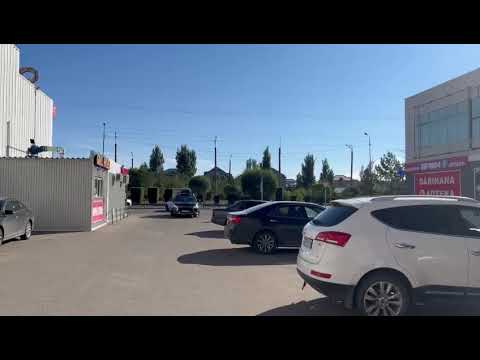 В Павлодаре собака накинулась на граждан