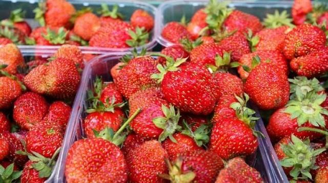 Как не отравиться пестицидами при употреблении ягод — советы врача