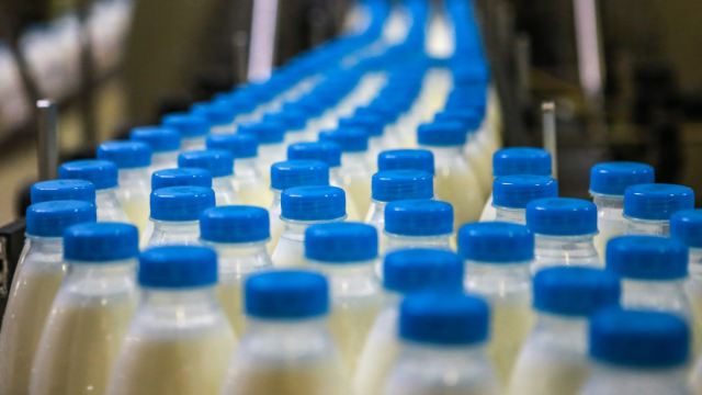 Цены растут, производство падает: коротко о молоке в Казахстане