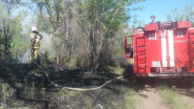 Гроза стала причиной очередного лесного пожара в Костанайской области
