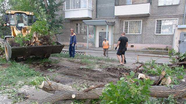 «Проблема с парковкой?»: Во одном из дворов Костаная спилили деревья