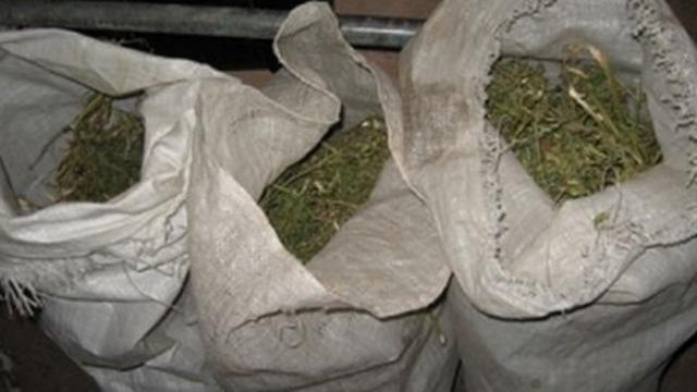 Сельчанин вёз 80 кило марихуаны по Костанаю