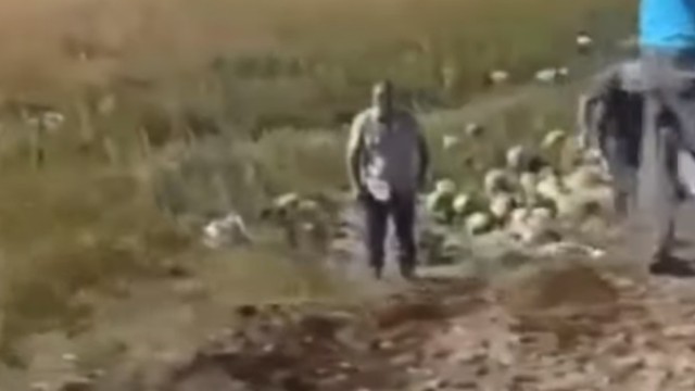 «ДТП с арбузами» на трассе Рудный — Качар. Официальная информация