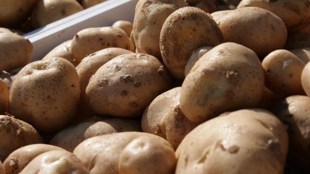 Самый дешёвый картофель продают в Костанайской области