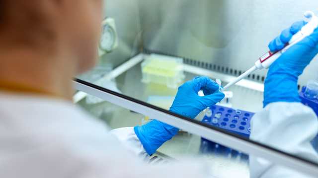 Длительность иммунитета после выздоровления от коронавируса подтвердили ученые