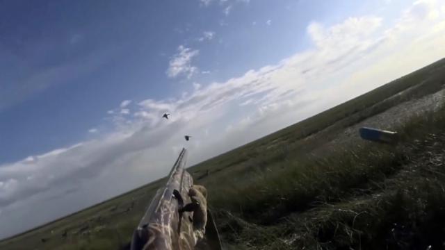 Весенняя охота: Селезней и уток разрешили убивать в Казахстане