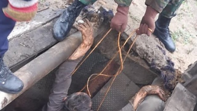 На дне: Житель Казахстана провалился в выгребную яму туалета, пытаясь достать смартфон