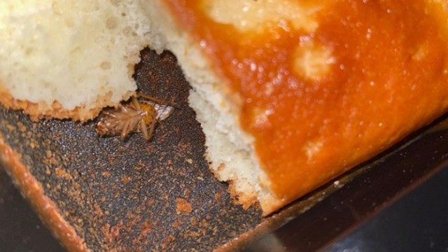 Таракана в пироге обнаружила жительница Казахстана