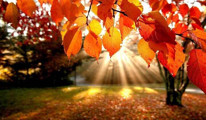 О погоде в Костанае и Рудном на 30 октября, пятницу