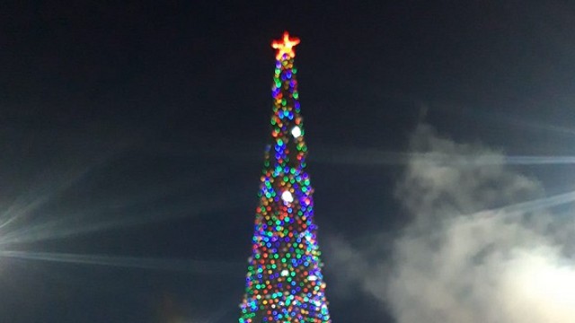 «Город засияет»: Новогоднюю ёлку установят в Лисаковске