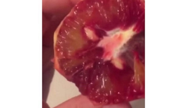 Апельсины с кровью: Пользователей Казнета испугал снимок необычного цитруса