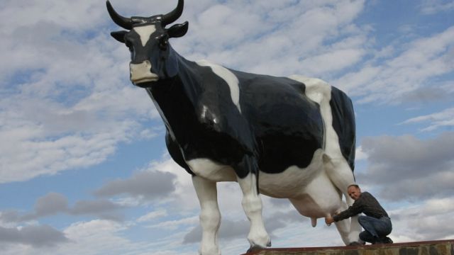 Где в Костанайской области установили памятники корове и быку