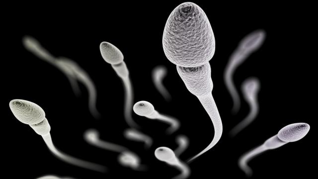 Сперматозоиды-убийцы обнаружены учёными