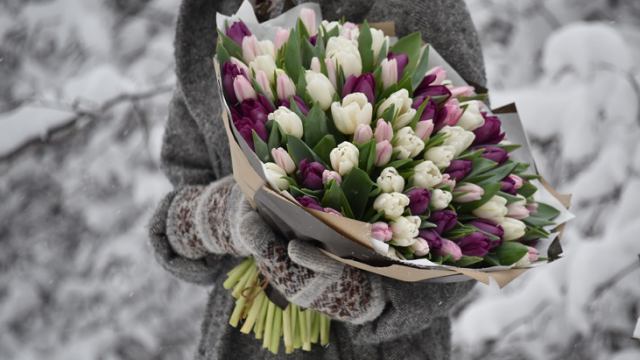 Житель Казахстана вырастил 30 тысяч тюльпанов к 8 Марта