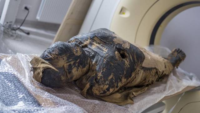 Мумия беременной египтянки найдена в музее Варшавы
