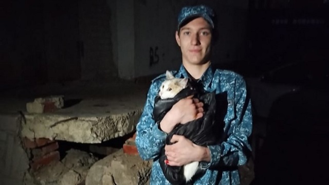 Полицейские из Костаная помогли спасти кошку