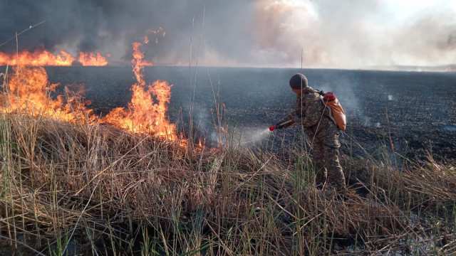 Двое суток тушили пожар возле села в Костанайской области