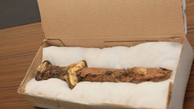 Позолоченный меч сарматов нашли археологи в Казахстане