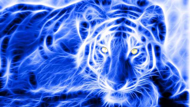 Китайский гороскоп на 2022 год: что принесёт нам Синий Водяной Тигр