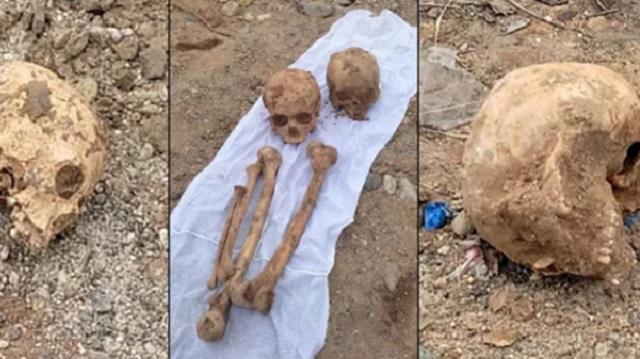 Экскаватор выкопал человеческие кости на стройплощадке в Семее