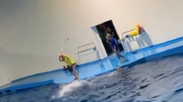 «Бьет дельфина?»: Зоозащитники возмущены роликом из океанариума