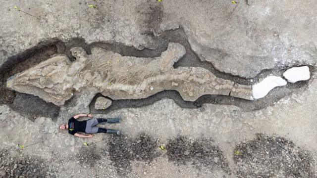 Археологи нашли гигантский скелет морского чудовища