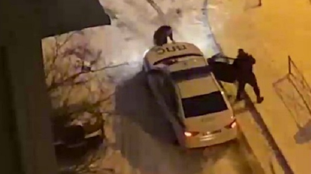 Жена бросилась на машину полиции, чтобы спасти пьяного мужа