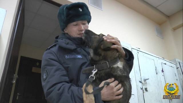 В Алматы трогательную встречу солдата и похищенного пса сняли на видео