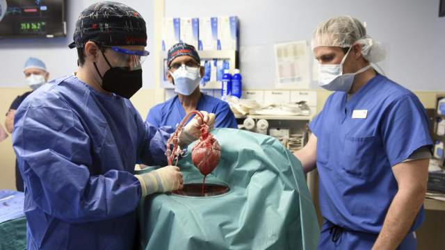 Видео: Хирурги впервые пересадили человеку сердце свиньи