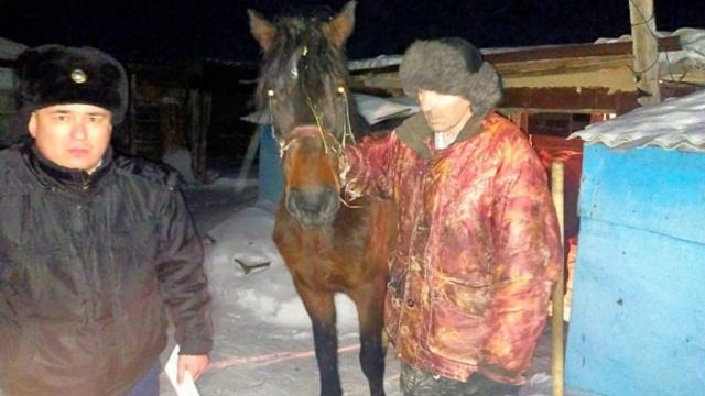 Полицейские Костанайской области вернули украденную лошадь