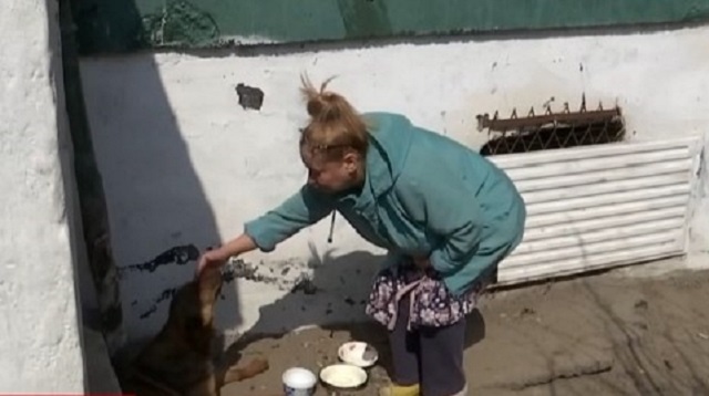 Кормившая бездомную собаку пенсионерка оштрафована на 15 тысяч