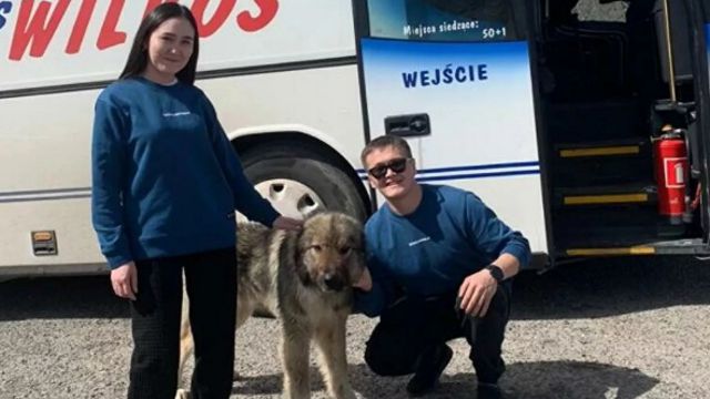 «Льдинки резали, как ножи»: как казахстанец спас собаку