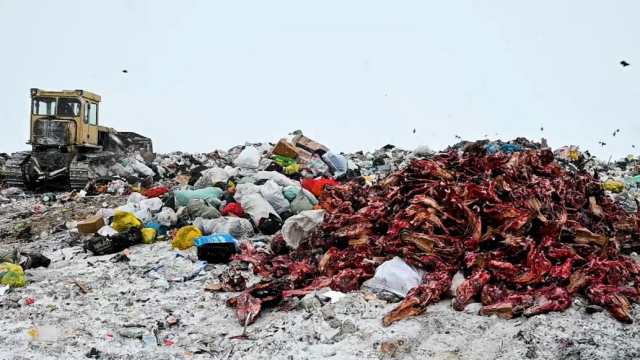 Видео: Куда свозят отходы от забоя животных в Костанайской области