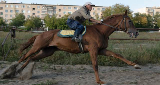 Турнир по конным видам спорта пройдет в Костанайской области