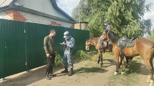 Насколько эффективен конный патруль в дачных обществах Костаная