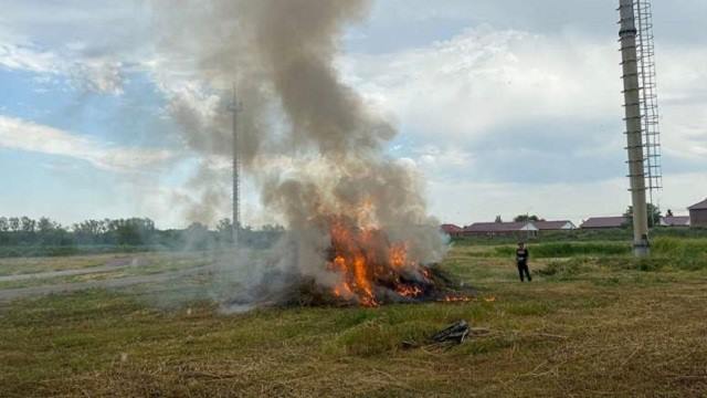 Видео: Почти пять гектаров дикорастущей конопли сожгли в Костанае