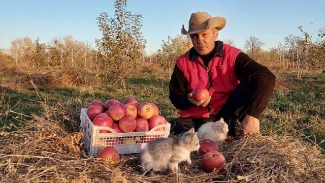«На свои средства»: В Уральске возрождают яблоневый сад