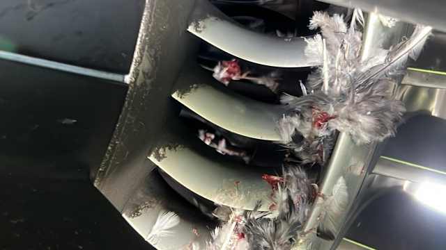 Птица попала в двигатель самолёта рейса Алматы — Атырау