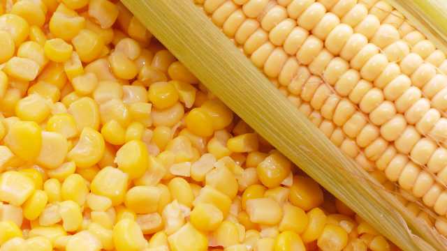 Хит августа: как приготовить оладьи из молодой кукурузы